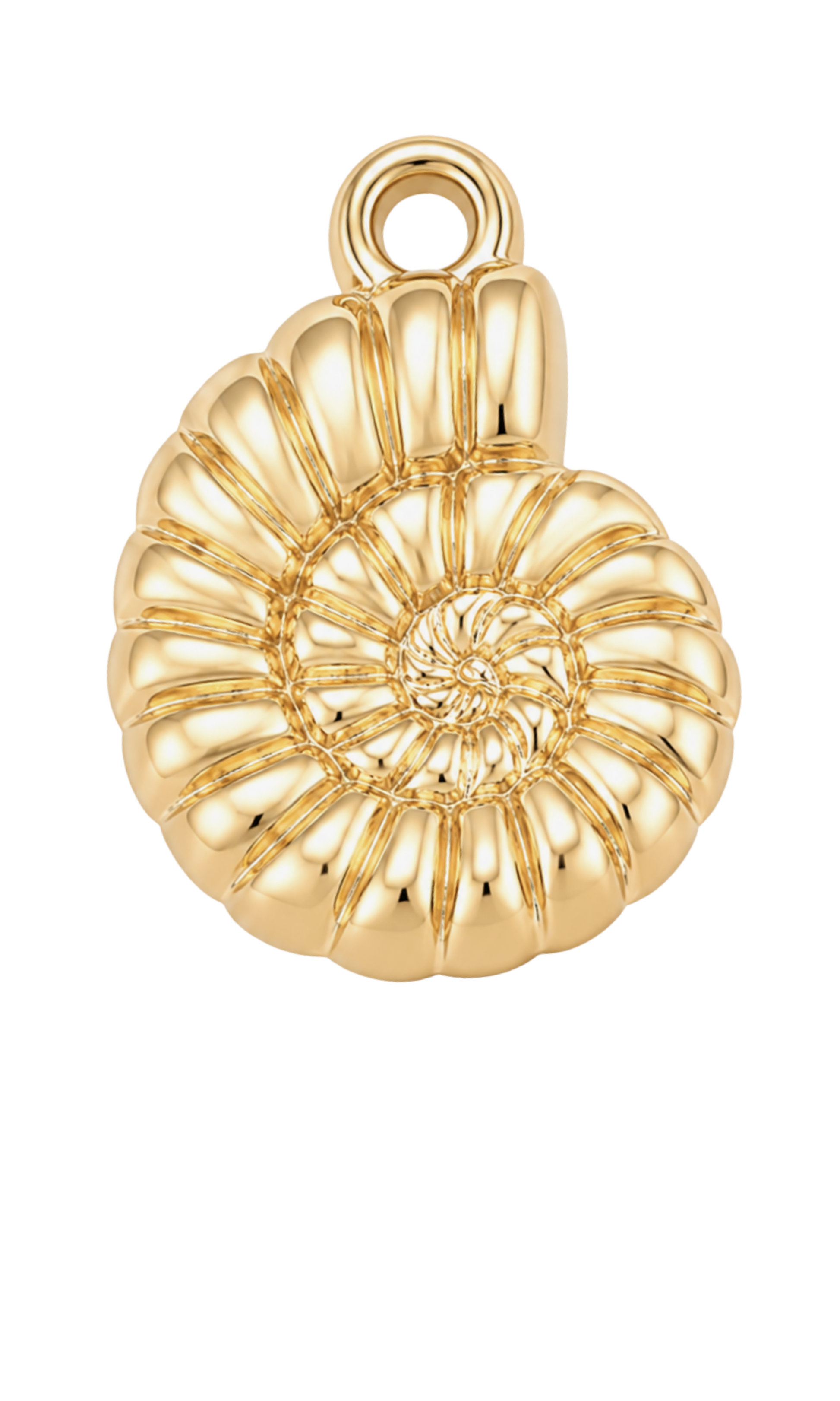 Shell Charm