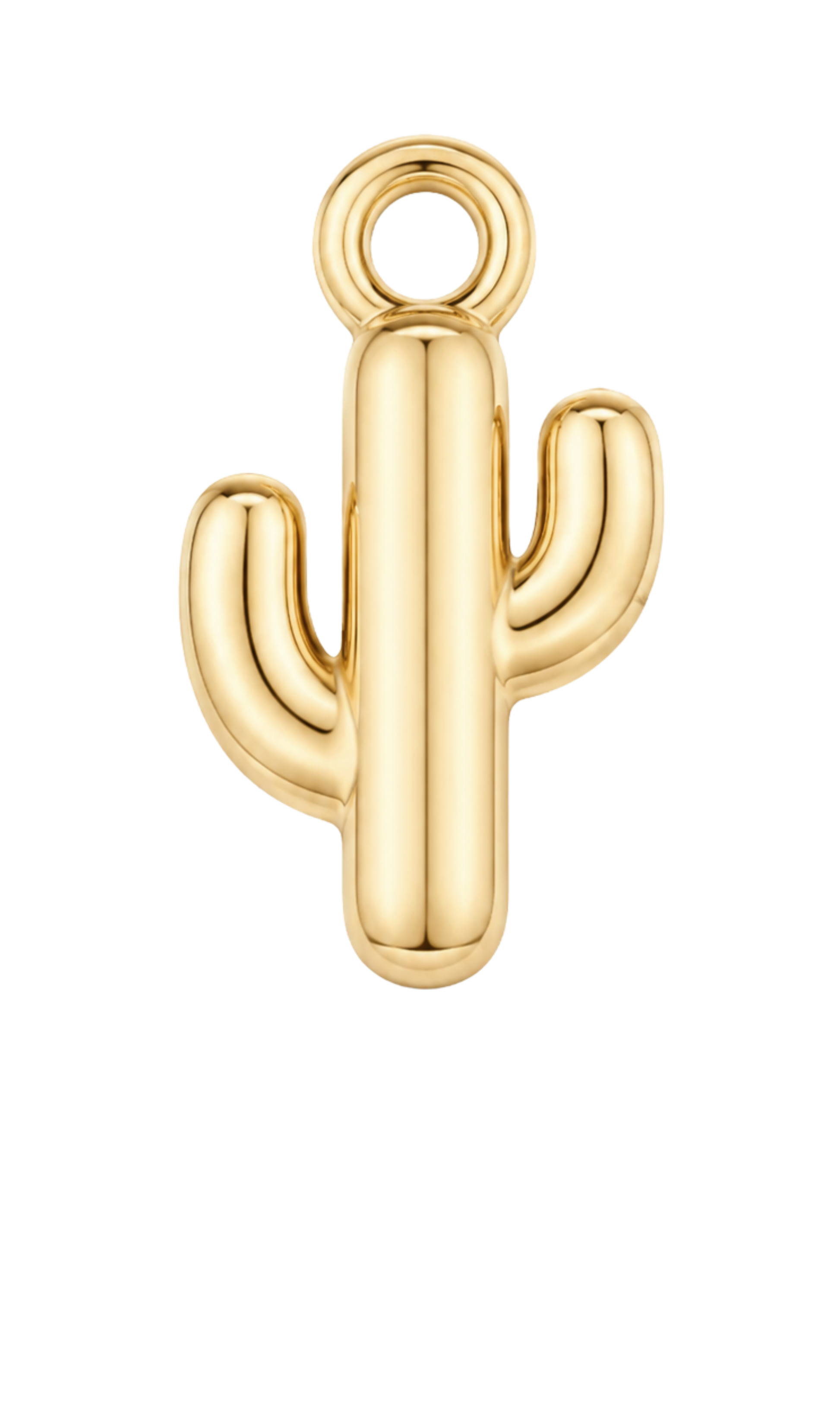 Cactus Gold Charm