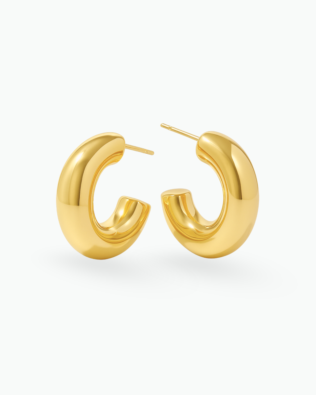 Pendientes de acebo