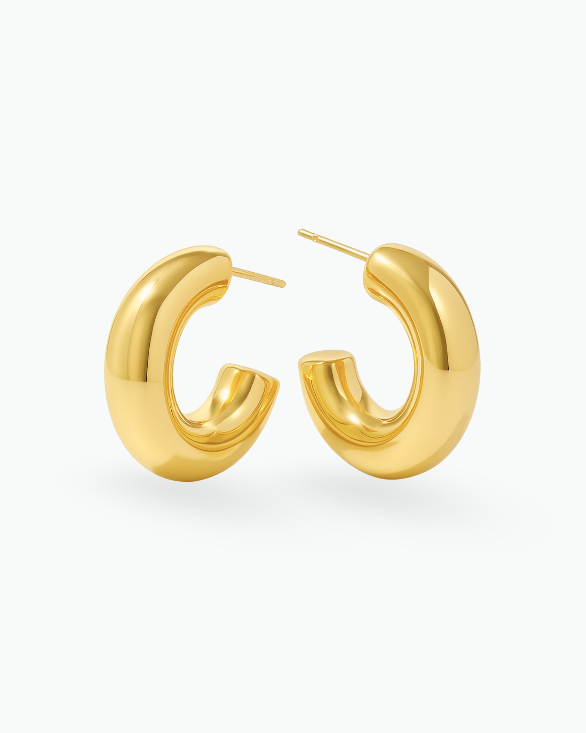 Holly Earrings