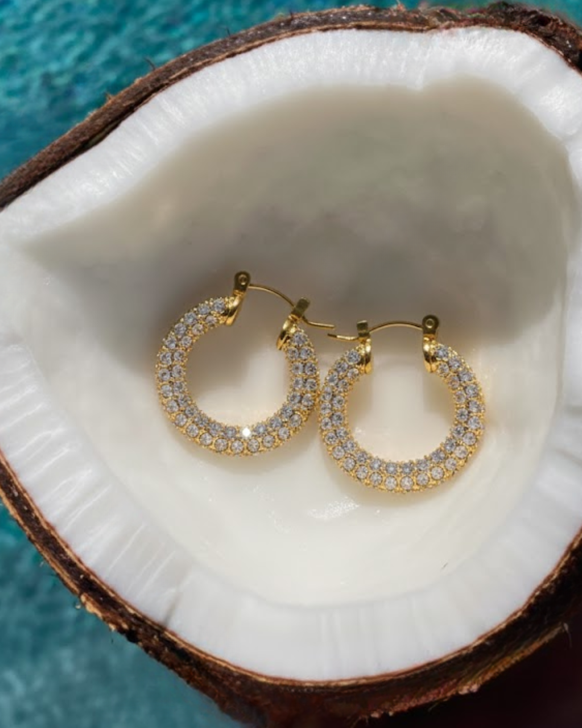 Tanvi Earrings