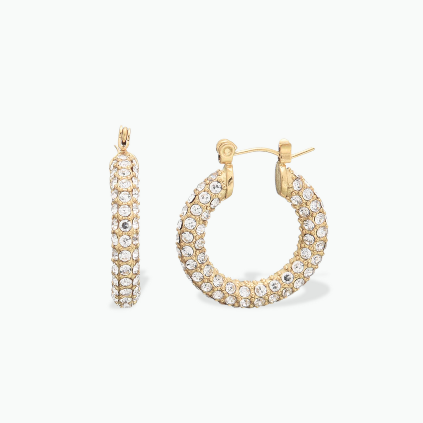 Tanvi Earrings