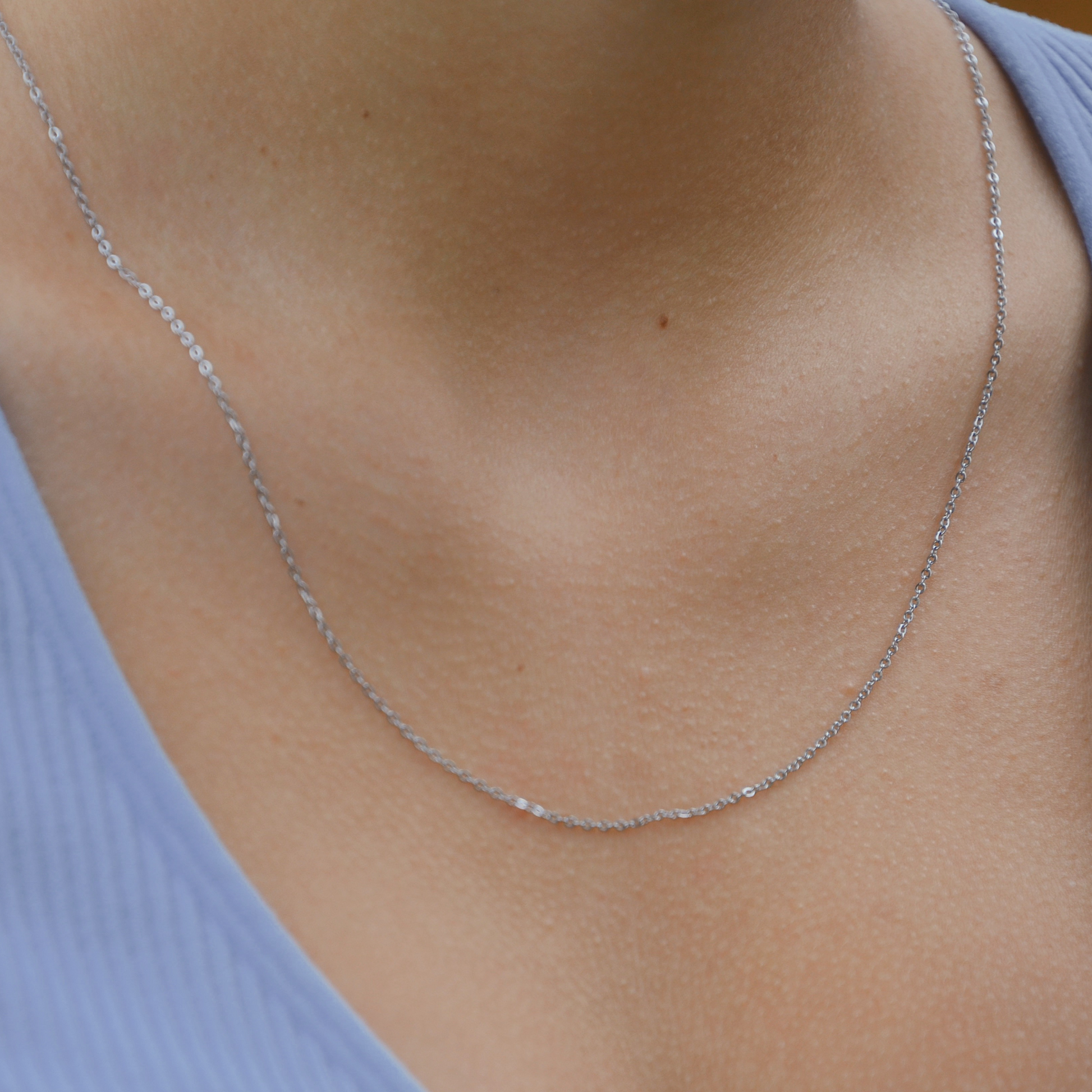 Collar Taylor